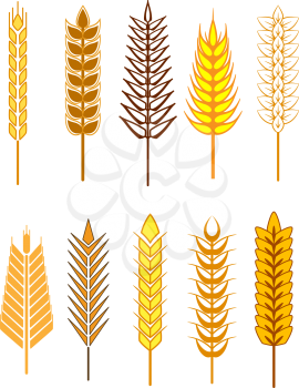 Yellow and gold colored ear icons set, for agriculture and cereal food design