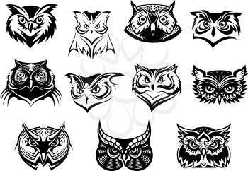 Large set of black and white vector owl heads showing different species and plumage, vector illustration isolated on white
