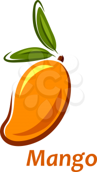 Fresh cartoon mango fruit sketch isolated on white background, vector illustration