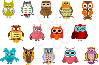 Cartoon cute owl birds characters isolated on white background