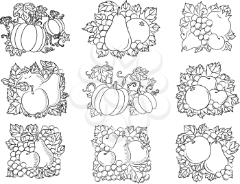 Retro fruit and vegetable sketch compositions of fresh apples, pears, pumpkins, pomegranates, apricots, oranges and grapes with leaves