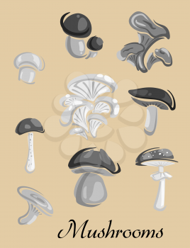 Mushrooms placard depicting champignon, cep, boletus, chanterelle, oyster, agaric forest mushrooms in shades of gray on vintage beige background suitable for public warnings and healthcare concept des