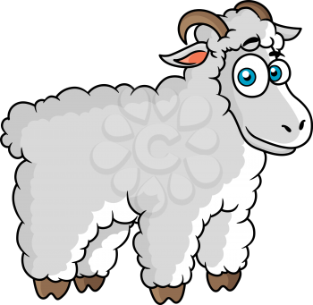 Cartoon farm sheep character with big eyes on white background