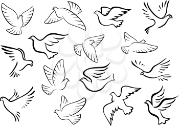 Pigeon and dove birds silhouettes in sketch style for peace or love concept design