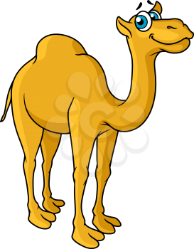 Fun cartoon camel animal character with big blue eyes and a happy smile isolated on white background