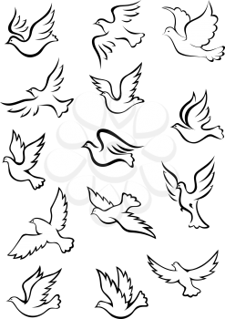 Outline graceful dove and pigeon birds set in sketch style for peace, religion or freedom concept design