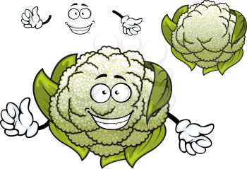 Cheerful organic cauliflower vegetable cartoon character with curved green foliage and knobbly inflorescences isolated on white, for vegetarioan food or agriculture design