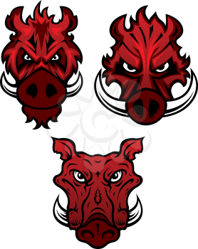 Red wild boars heads with dangerous sharp tusks isolated on white background, for tattoo or mascot design 