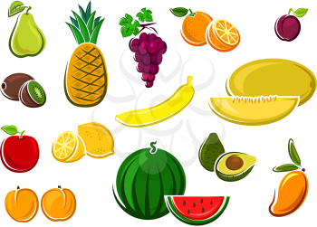 Fresh juicy watermelon, apple, kiwi, orange, lemon, grape, avocado, mango, melon, banana, pineapple, plum, pear and peaches fruits. For agriculture or healthy food design