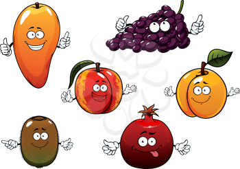 Cartoon ripe purple grape, tropical mango and kiwi, peach, apricot and pomegranate fruits. For dessert or agriculture themes