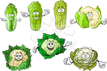 Funny cartoon cauliflower and chinese cabbage vegetables with hands, isolated on white background