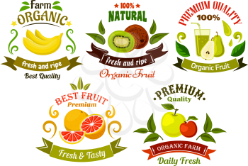 Organic food emblems of healthy fresh fruits with apples, bananas, oranges, kiwis and pears with juice, framed by green leaves, vintage ribbon banners and colorful swirls