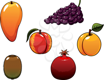 Juicy sweet orange mango, peach, apricot, purple grape, green kiwi and red pomegranate fruits for agriculture, harvest or healthy nutrition themes concept