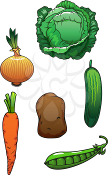 Bright juicy green cucumber, cabbage, pea pod, sweet orange carrot, onion bulb and potato vegetables for agriculture harvest design. Cartoon style