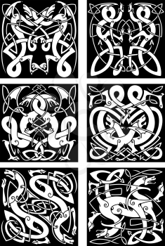 Medieval celtic knot patterns of dragons with entwined wings and tails on black background for tribal tattoo design