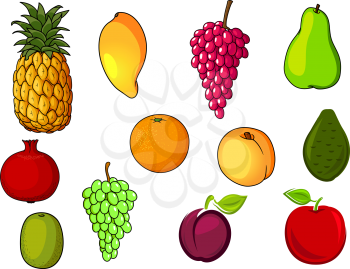 Farm fresh and ripe orange, red apple, pear, peach, grape, pineapple, kiwi, mango, plum, pomegranate avocado fruits. Agriculture harvest or natural food design