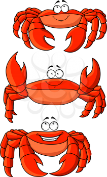 Happy cartoon ocean red crabs characters with large claws. Addition to children book, seafood, marine emblem and mascot design