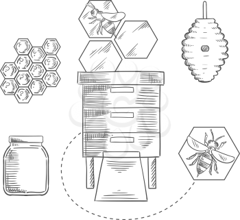 Honeycomb sketch design with bees flying near beehives, honeycombs and glass jar with honey for beekeeping industry design