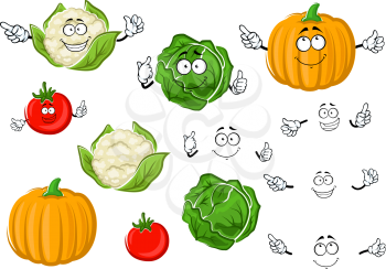 Colorful cartoon autumnal juicy red tomato, green crunchy cabbage, ripe orange pumpkin and head of cauliflower vegetable characters. Addition to agriculture harvest or vegetarian salad recipe design