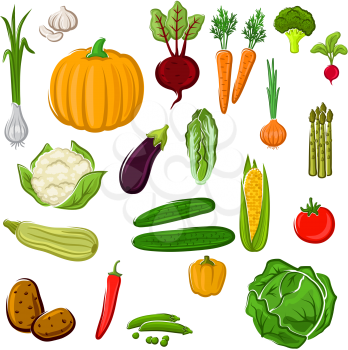 Tomato and pepper, eggplant and cabbage, corn and potato, onion and pumpkin, beet and carrot, broccoli and cauliflower, garlic and radish, asparagus and green pea, cucumber, chinese cabbage and zucchi