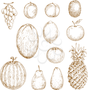 Fresh pear and lemon, orange and apple, plum and grape, peach and pineapple, kiwi and watermelon, avocado and melon fruits isolated sketches. Great for vegetarian dessert or recipe book, kitchen inter