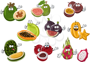 Exotic asian passion fruit and fig, papaya and lychee, starfruit and feijoa, guava, pitaya and durian fruits characters with happy faces. Funny tropical dessert fruits