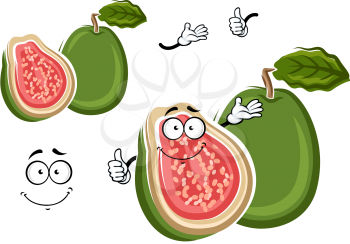 Juicy tropical apple guava fruit cartoon character with green rough peel and cross section with delicate pink flesh and happy smiling face on the cut. May be use as exotic dessert recipe, agriculture 