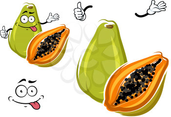 Cartoon whole and halved exotic hawaiian green papaya fruit with juicy orange flesh with small black seeds clustered in the center. May be used as vegetarian dessert, agriculture or tropical recipe de