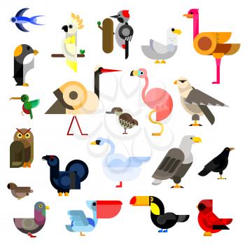 Cartoon flat icons of owl and eagle, swallow and hummingbird, parrot and falcon, penguin, stork and swan, sparrow and pigeon, flamingo and gull, ostrich and raven, pecker and toucan, cardinal and peli