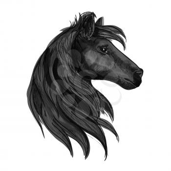 Black horse head symbol with purebred stallion. Horse racing badge, equestrian sporting competition or riding club symbol design