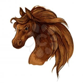 Horse head sketch portrait. Mustang stallion with brown waving mane