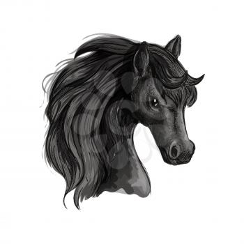 Horse head pencil sketch portrait. Vector isolated black stallion with mane on white background
