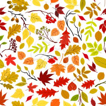 Autumn leaves seamless pattern background. Vector leaf and stem elements. Tree seeds and fruits. Foliage of oak, maple, birch, aspen, chestnut, elm, poplar, rowanberry acorn