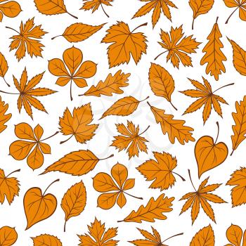 Yellow falling leaves seamless pattern background. Autumn foliage wallpaper. Vector elements of maple, birch, aspen, elm, poplar
