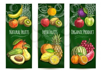 Organic fresh juicy fruits background. Vector sketch pear, orange, avocado, apple, peach, banana, kiwi, lemon, mango, pineapple, watermelon pomegranate grape plum for store banner juice drink package 