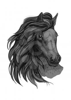 Black horse with passionate glance portrait. Beautiful mustang with wavy mane and bent head