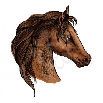 Horse head profile portrait. Proud brown mustang with long wavy mane and thoughtful pensive eyes