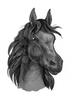 Black horse portrait with shiny dark eyes. Beautiful mustang with thick mane waving in wind