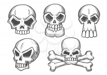 Skulls sketch icons. Skeleton craniums crossbones for halloween decoration, cartoon, label, tattoo