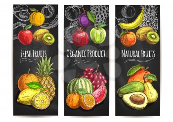 Fresh natural organic fruits. Vector sketch color icons of pear, orange, avocado, apple, peach, banana, kiwi, lemon, mango, pineapple, watermelon pomegranate grape plum for juice drink label poster