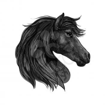 Raven horse head profile portrait. Black mustang with long wavy mane and thoughtful pensive eyes