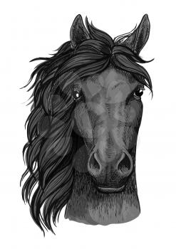 Horse full face artistic portrait. Mustang stallion with mane looking straight forward