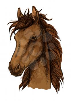 Brown proud horse artistic portrait. Brown mustang stallion with wavy mane, calm look, black eyes