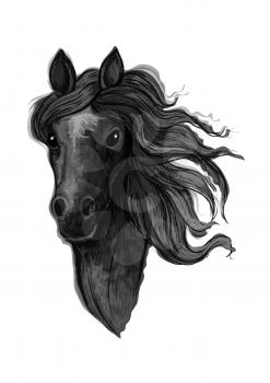 Black noble raven mustang portrait. Horse stallion with wavy mane strands looking straight forward