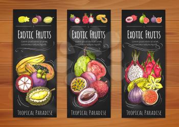 Exotic tropical fruits banners with papaya, star fruit, guava, mangosteen, passion fruit, lychee, fig, dragon fruit and durian fruits. Tropical cocktail, vegetarian dessert, food packaging design