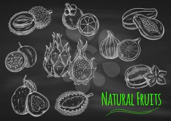 Chalk sketches of exotic fruits on blackboard with star fruit, papaya, guava, passion fruit, dragon fruit, lychee, mangosteen, fig and durian fruits