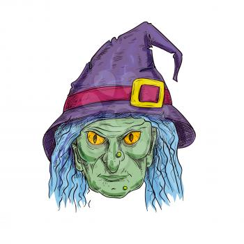Old witch with ugly face in purple sorcerer hat and blue hair. Halloween cartoon sorceress hag head vector sketch isolated icon for decoration design element