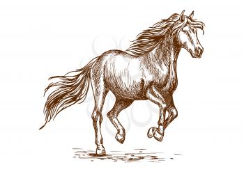 Prancing horse portrait. Proud graceful mustang stallion freely running against wind with waving mane and long tail. Vector sketch