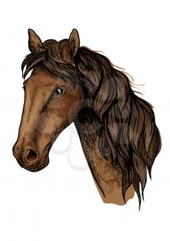 Brown racehorse sketch with head of purebred mare horse of arabian breed. Horse racing, equestrian sporting competition symbol or t-shirt print design