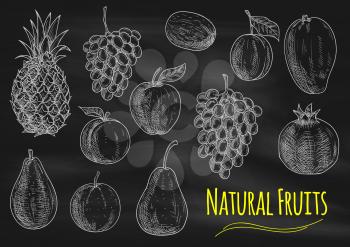 Fruits chalk sketch on blackboard. Isolated vector fruit of exotic and tropical pineapple, grape, avocado, orange, apple, peach, pear, kiwi, apricot mango pomegranate